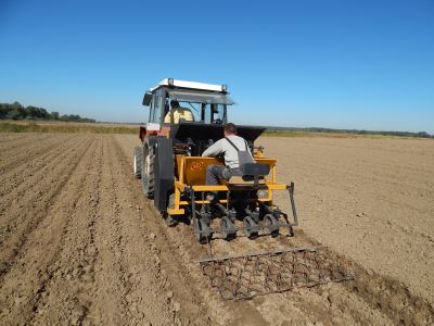 Vegetable growing machines